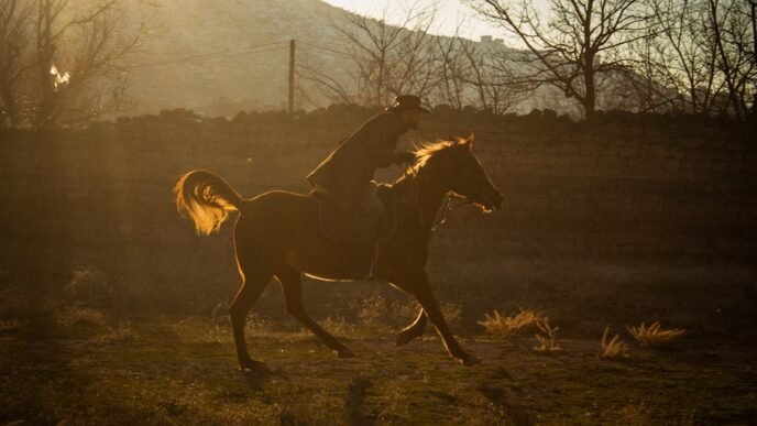 us-homeland-security-chief-noem-visits-israel-after-shooting