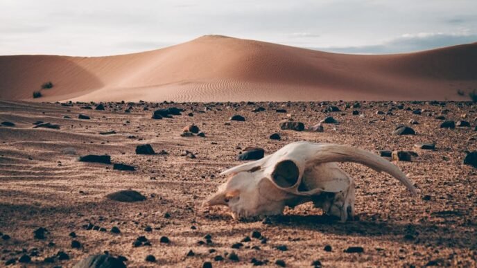 hideo-kojima-redefines-connection-in-death-stranding-2-on-the-beach