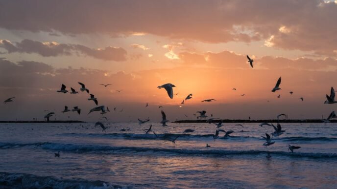 iran-strikes-tel-aviv-as-israel-iran-war-escalates