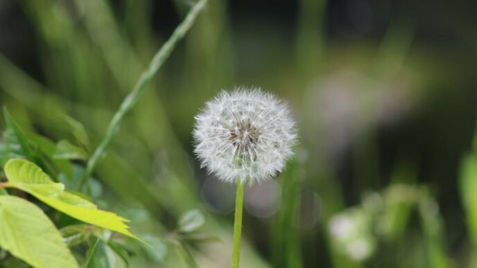 nvidia-stock-soars-hits-375-trillion-market-cap-amid-ai-boom