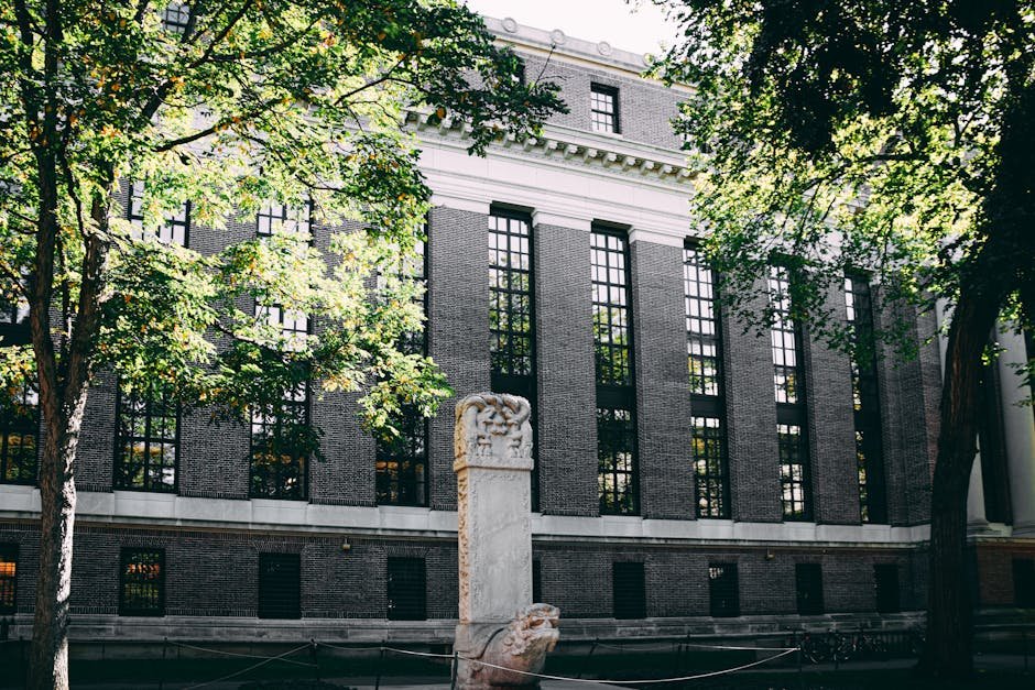 Students on Harvard University campus