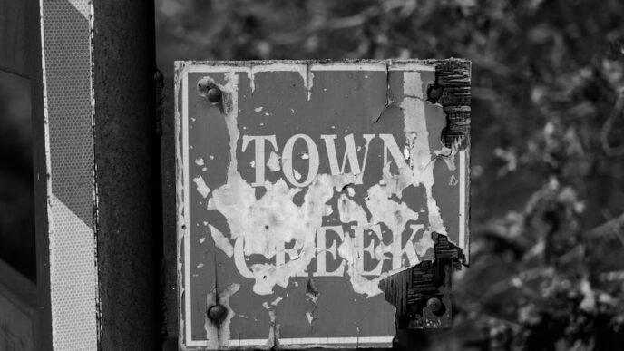 the-black-rural-south-awakening-a-political-sleeping-giant