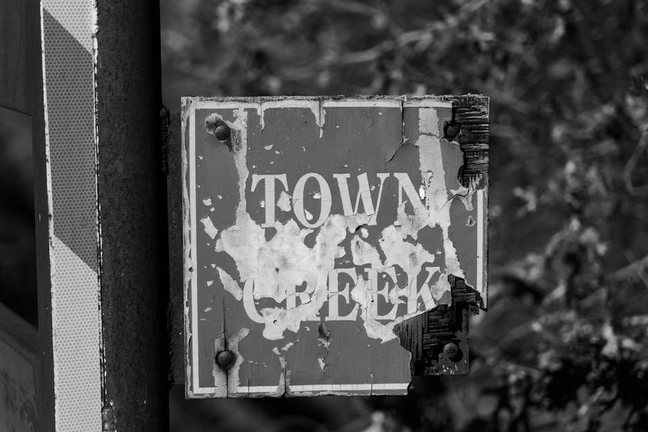 the-black-rural-south-awakening-a-political-sleeping-giant