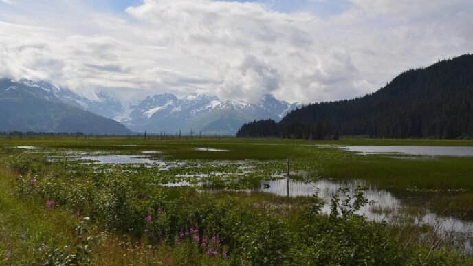 alaskas-73-quake-prompts-tsunami-alerts-defenses-questioned