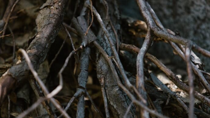 donkey-kong-bananza-smash-transform-co-op-platforming-reborn