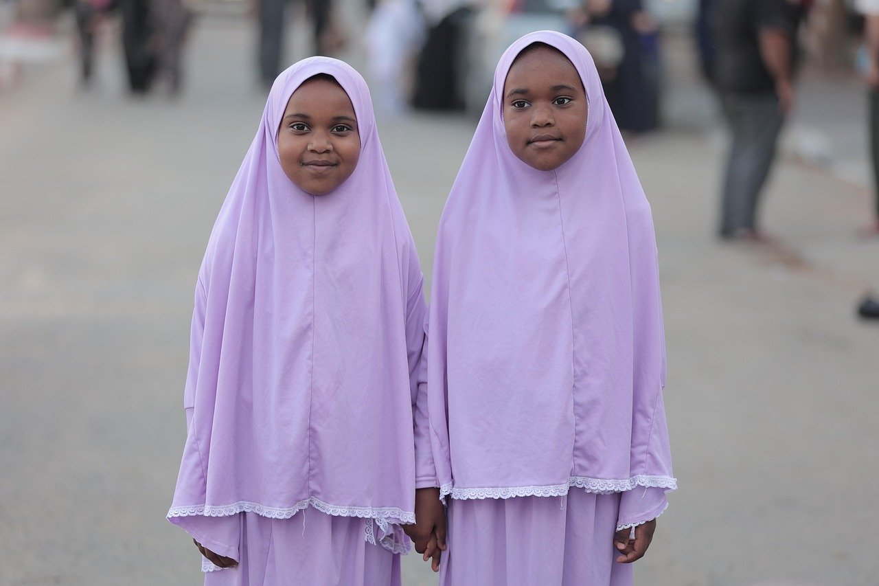 Emmanuel Macron addressing United Nations delegates