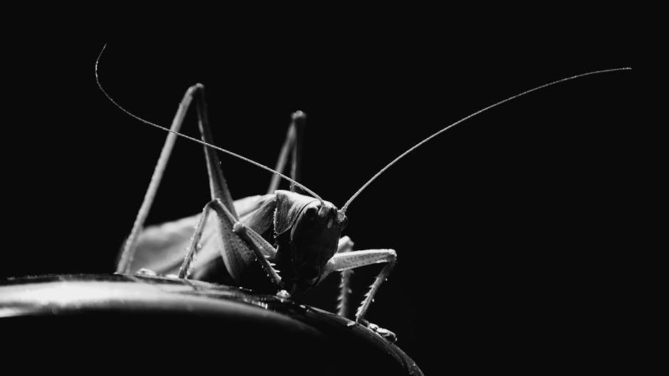 John Douglas Norman being escorted by police officers