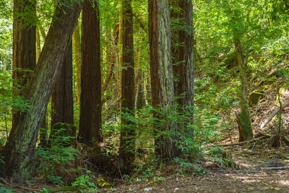 trump-orders-us-bitcoin-reserve-crypto-surge-follows