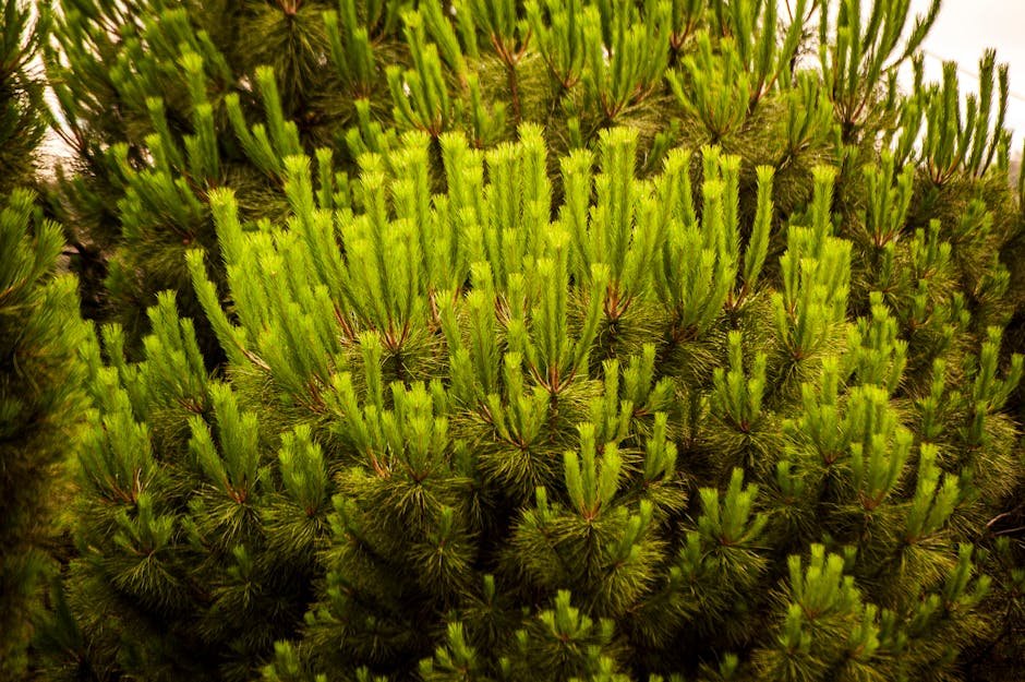 Damaged factory building with emergency responders at blast site